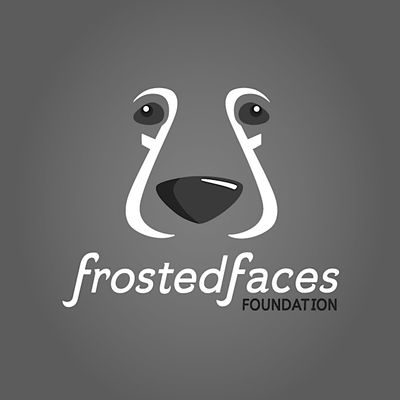 Frosted Faces Foundation