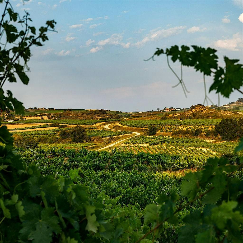 Spanish Winemakers Dinner: Next Generation of Rioja with Andreas Kubach MW