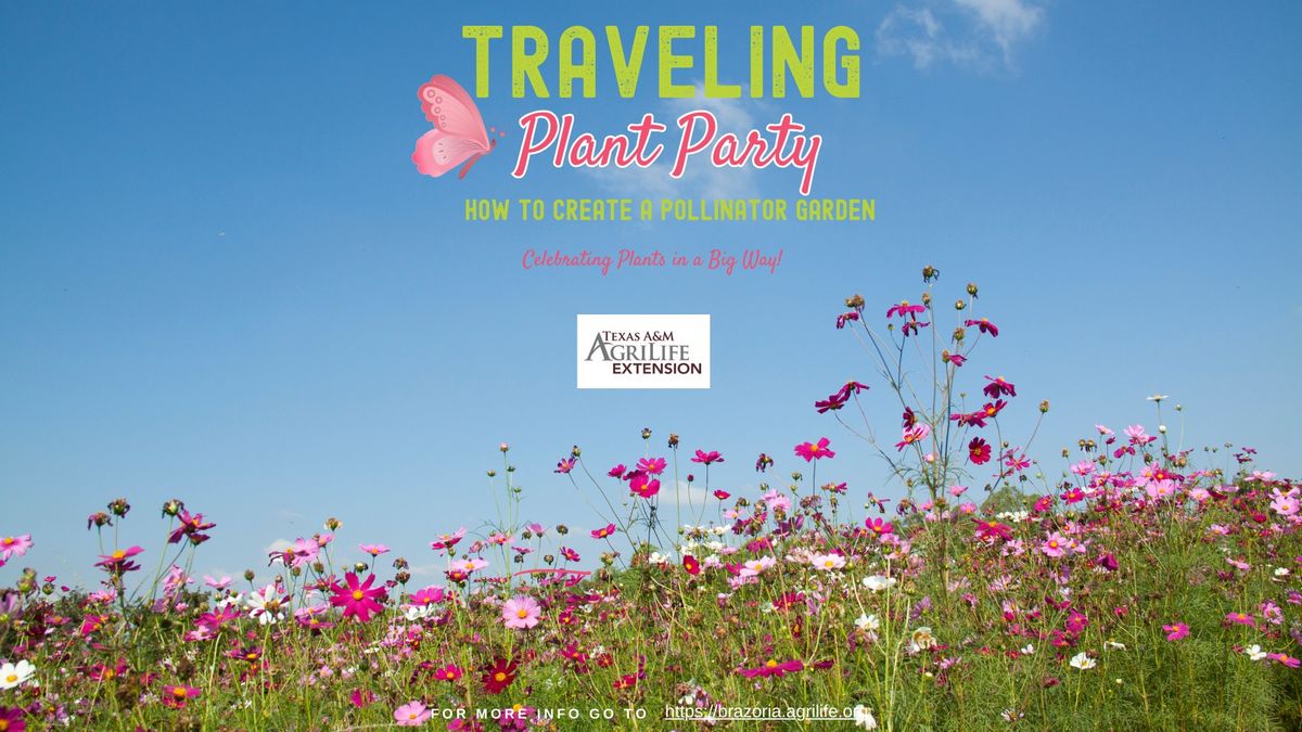 Traveling Plant Party: How to Create a Pollinator Garden