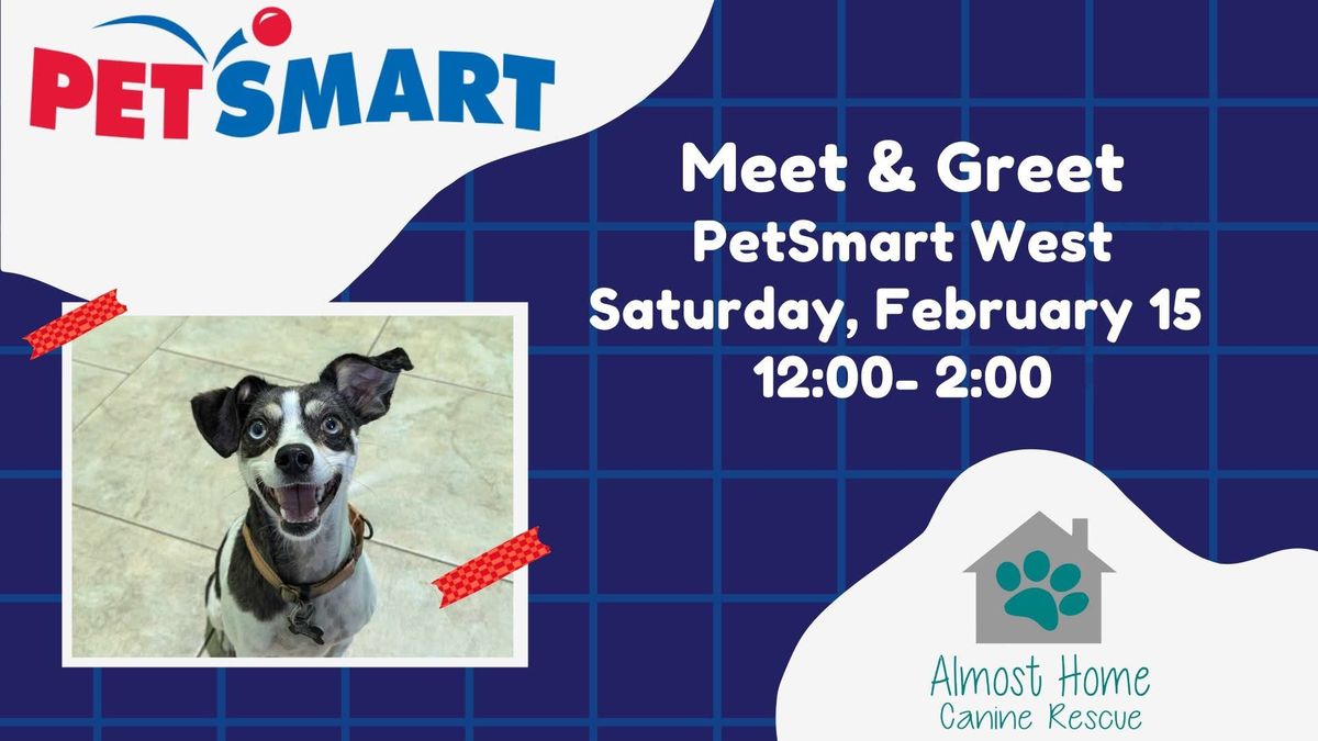 Meet & Greet: Petsmart (Louise Ave)