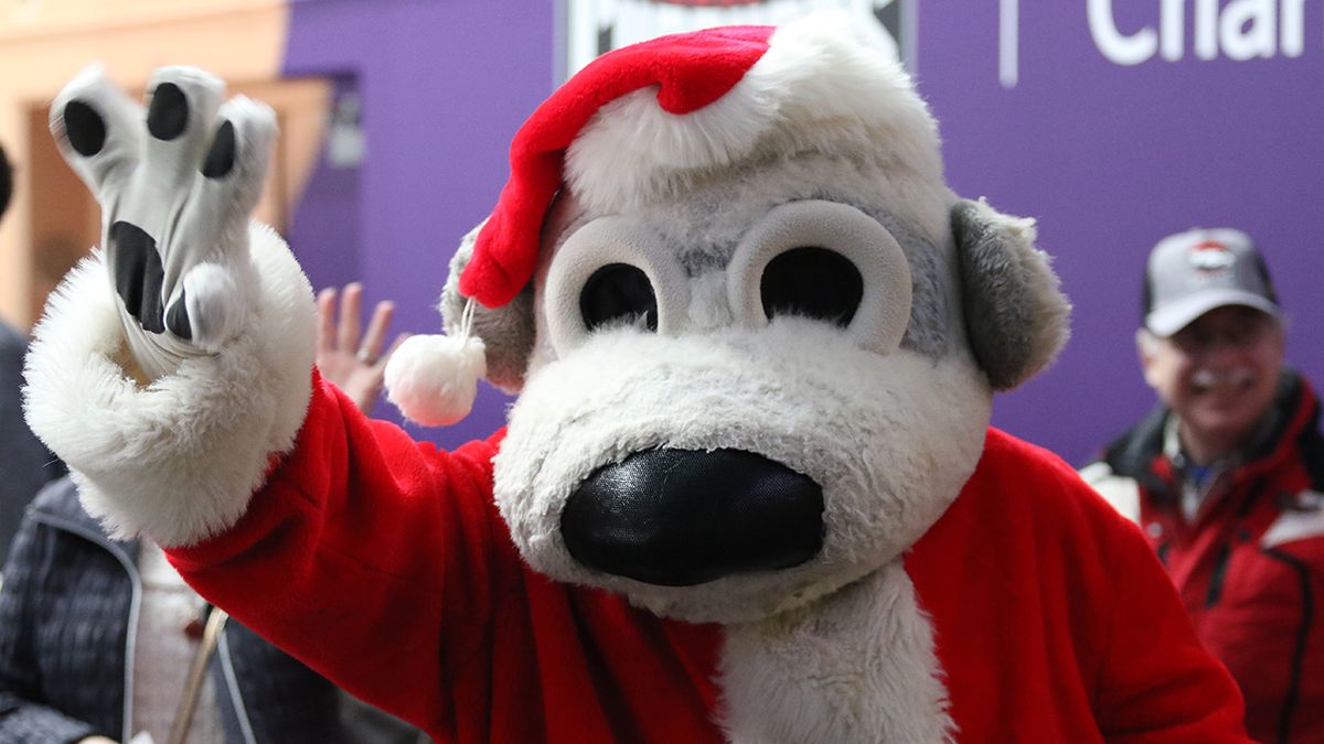 Bridgeport Islanders at Charlotte Checkers at Bojangles Coliseum