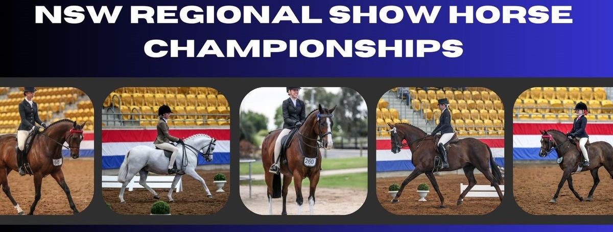 2024 NSW Regional Show Horse Championships