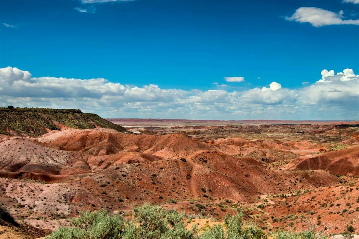 Petrified Forest Driving Tour: Self-Guided