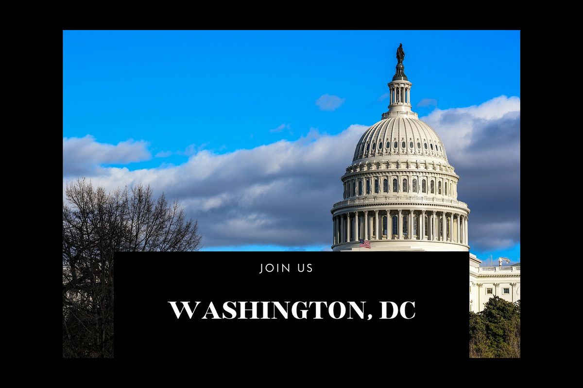 Immersive Insights  Gala Tour: Washington, DC Experience