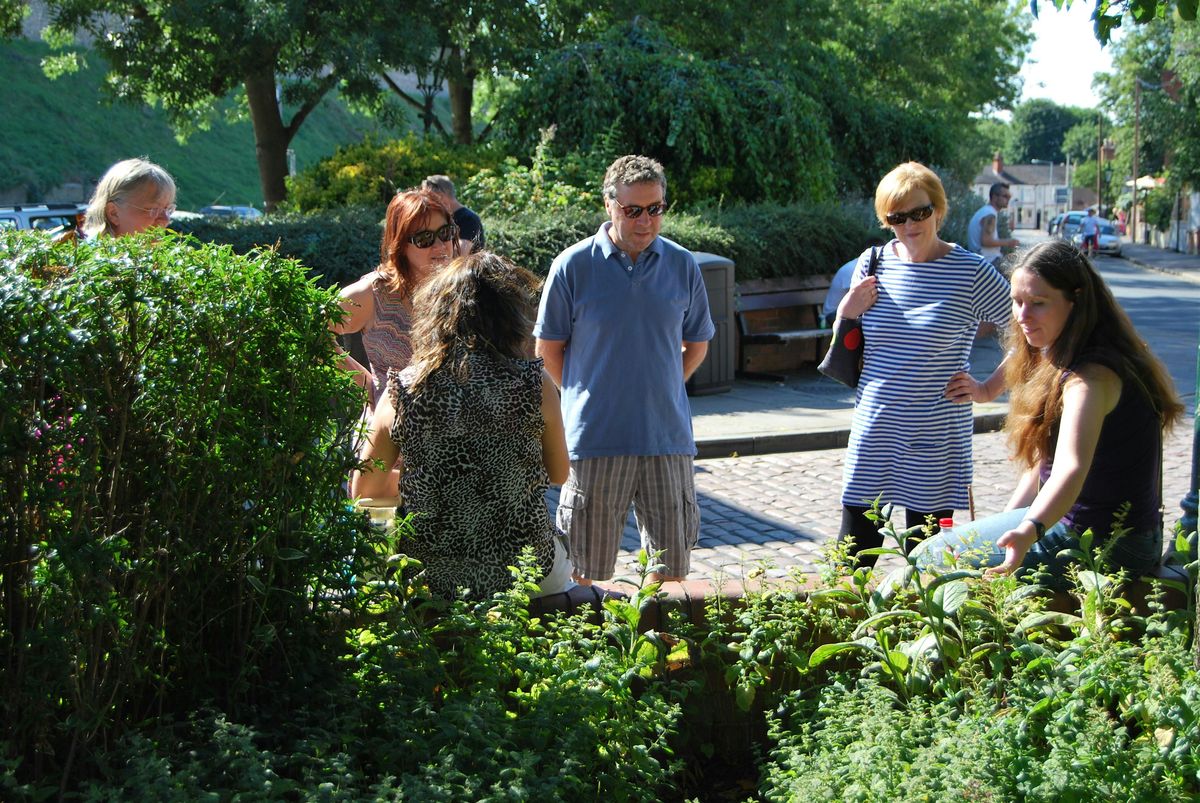 Urban Medicinal Plant Walk - Medicinal Plants and Trees of uphill Lincoln