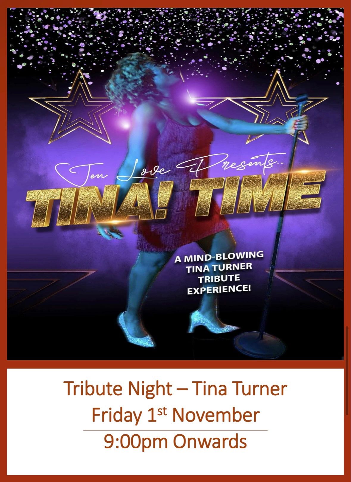 Tribute Night - Tina turner