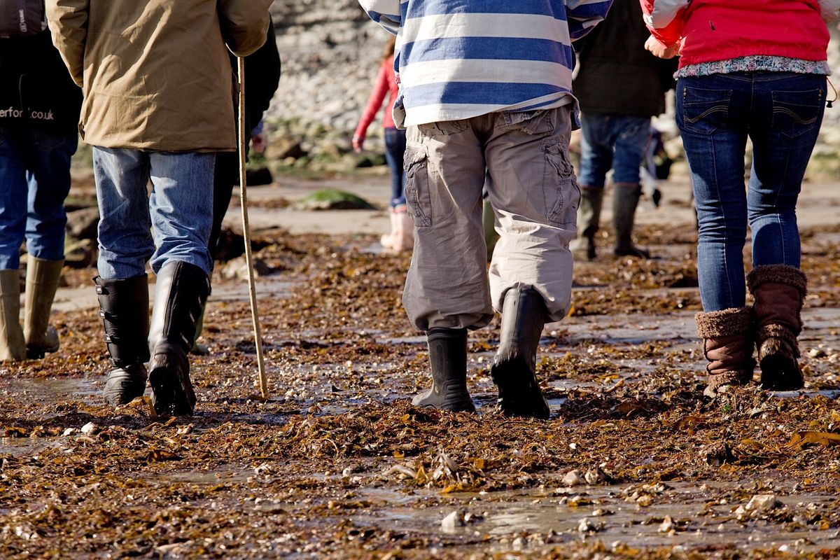 Dinosaur Footprints Walk, Scarborough South Bay, United Kingdom, 20 May