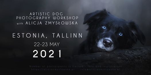 Artistic Dog Photography Workshop in Estonia 2021