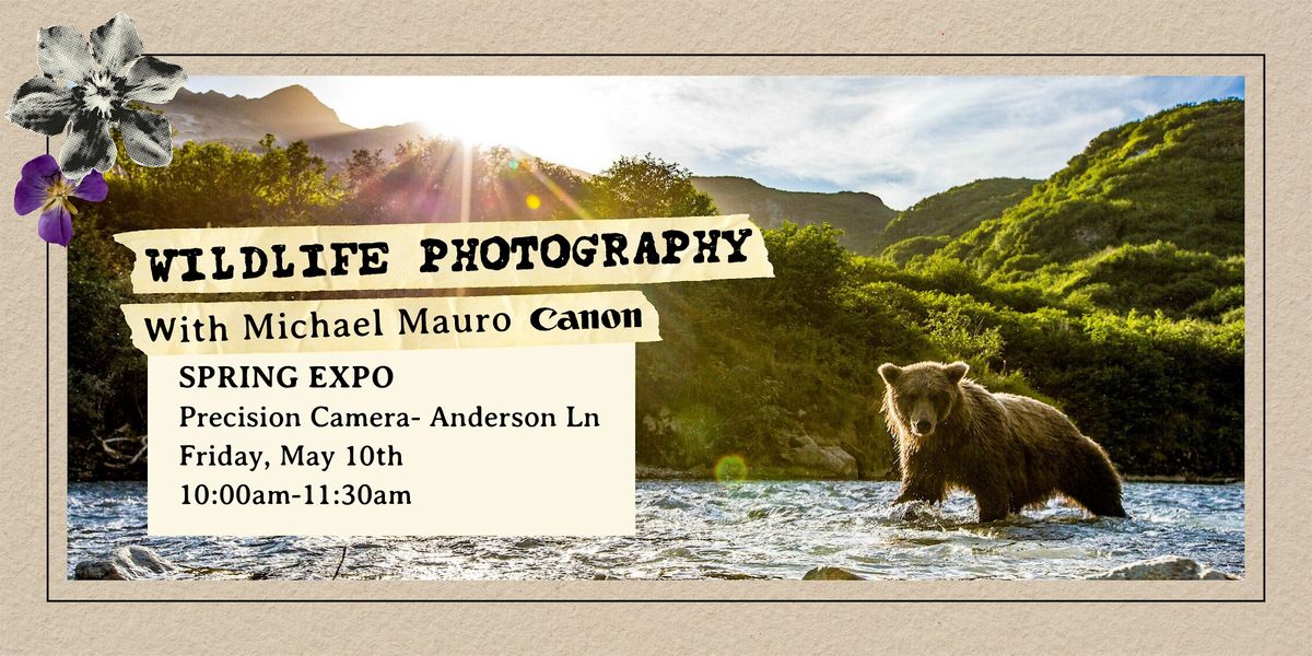 Wildlife Photography with Michael Mauro