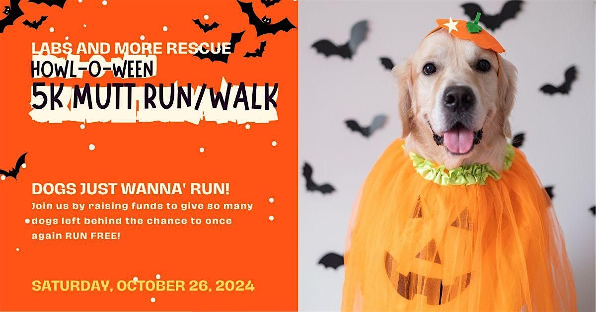 Lab & More Rescue's 11th Annual Charity 5k Mutt Run!