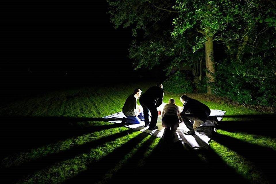 Evening Moth Survey in the Heart of England Forest - BioBlitz 2024