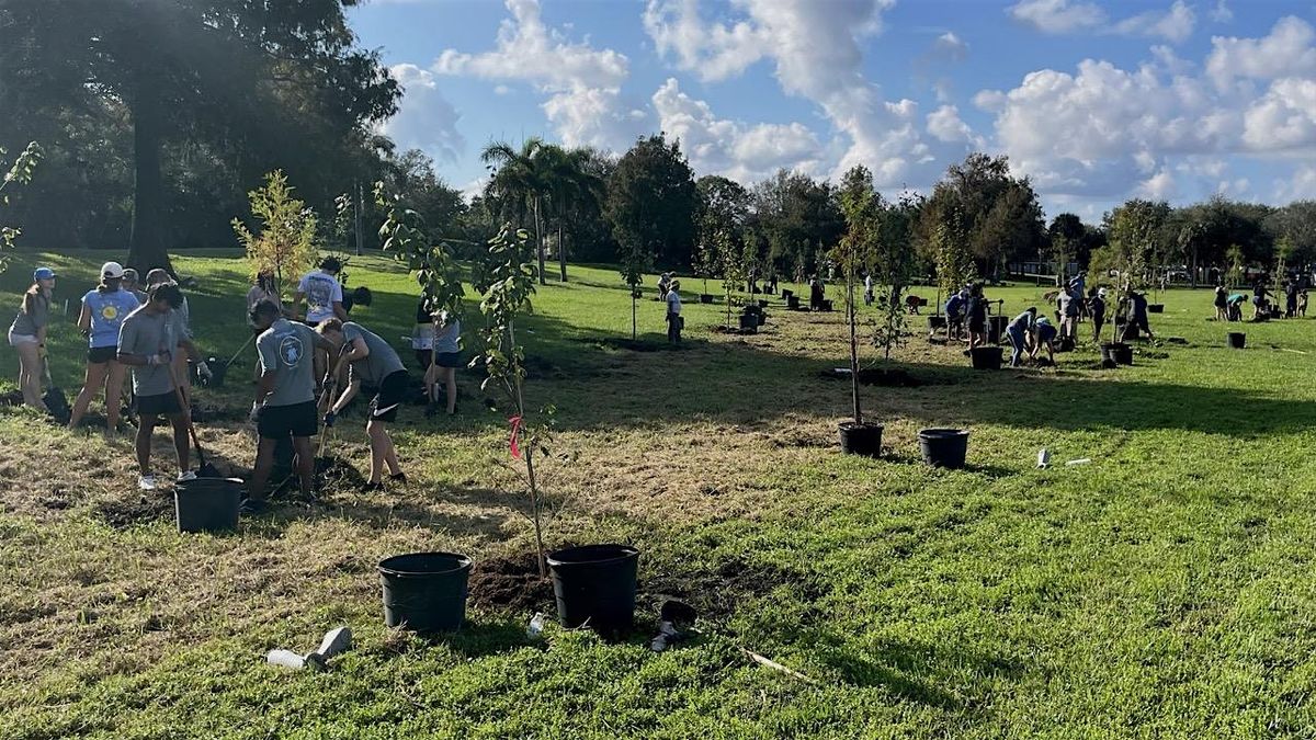 Dyer Park Tree Planting | Volunteers (12\/14\/24)