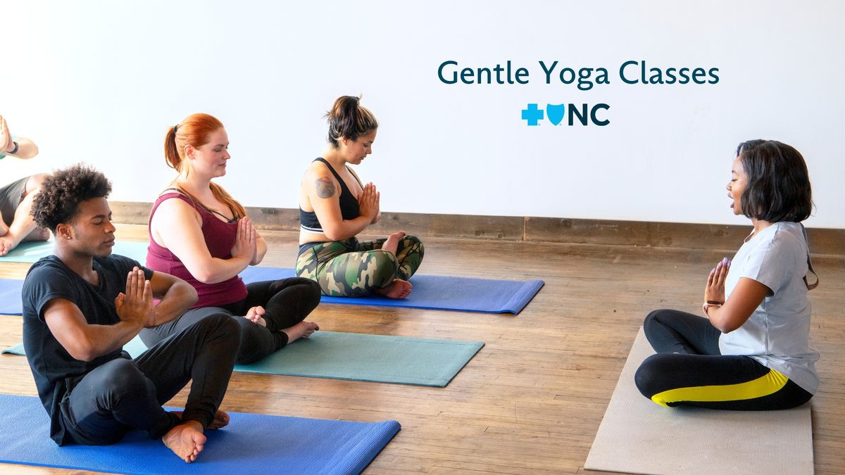 Gentle Yoga Evening Class at the Boone Blue Cross NC Center