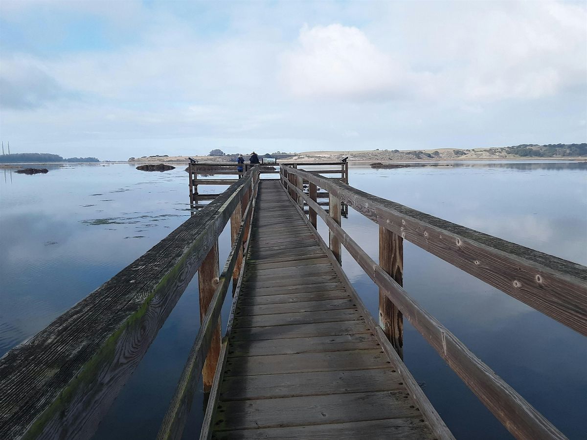 King Tide Hike at Elkhorn Slough Reserve