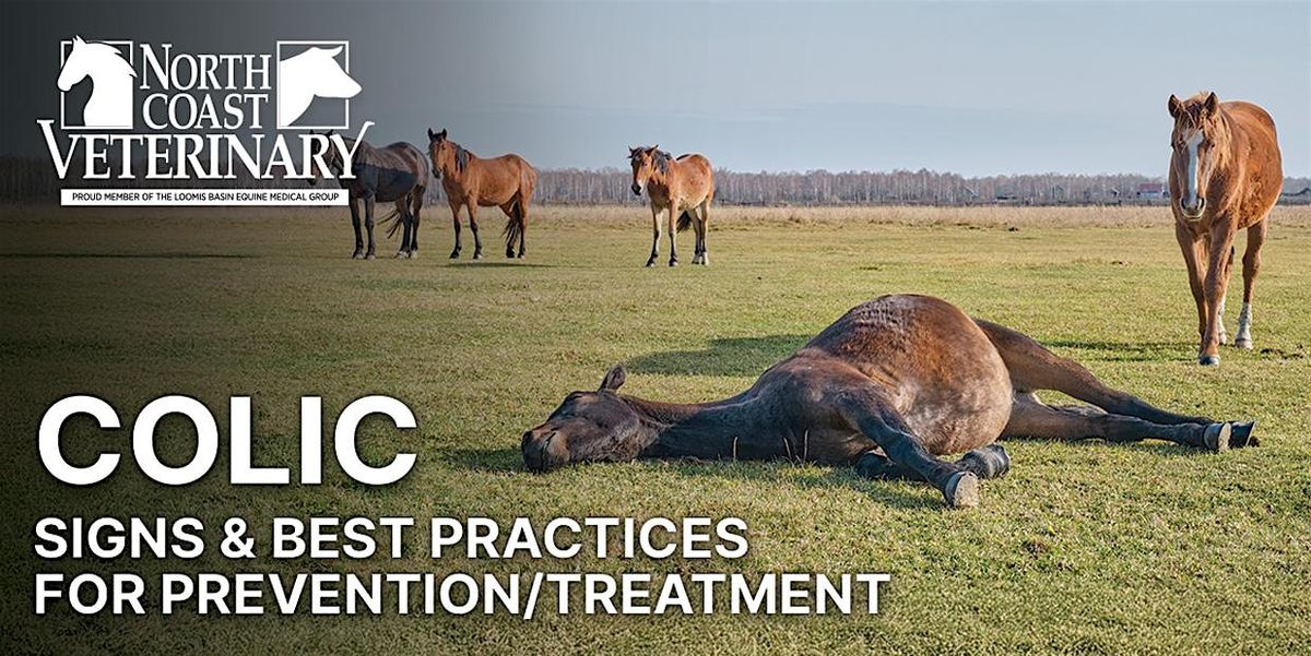 FREE Dinner Event: COLIC - Signs & Best Practices for Prevention\/Treatment