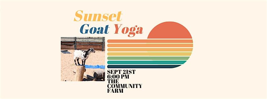 Sunset Goat Yoga