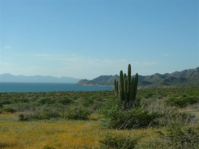 The Gulf of California, M\u00e9xico: Wild Islands, Rich Desert