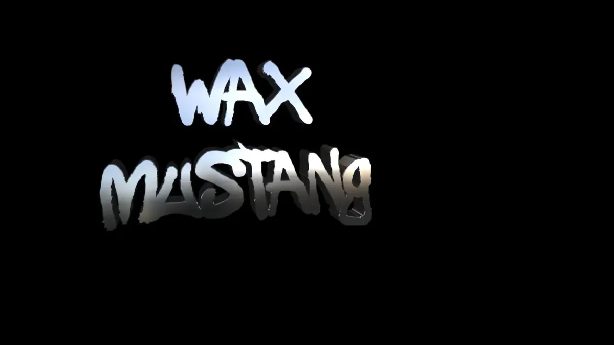 wax mustang, L.A.B., The Bamboos, Tiki Taane, Bud Rokesky, Drax Project, Thundamentals, The Dreggs in Sydney