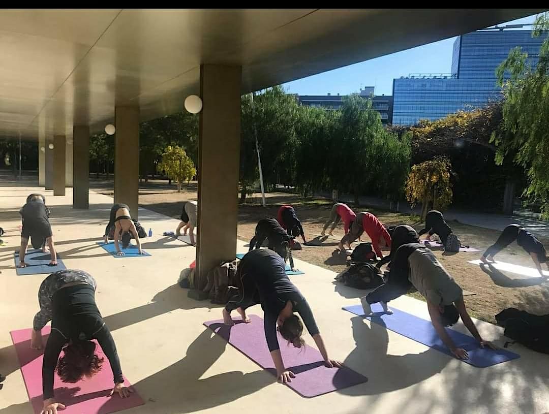 Yoga flow in the park - Open level class