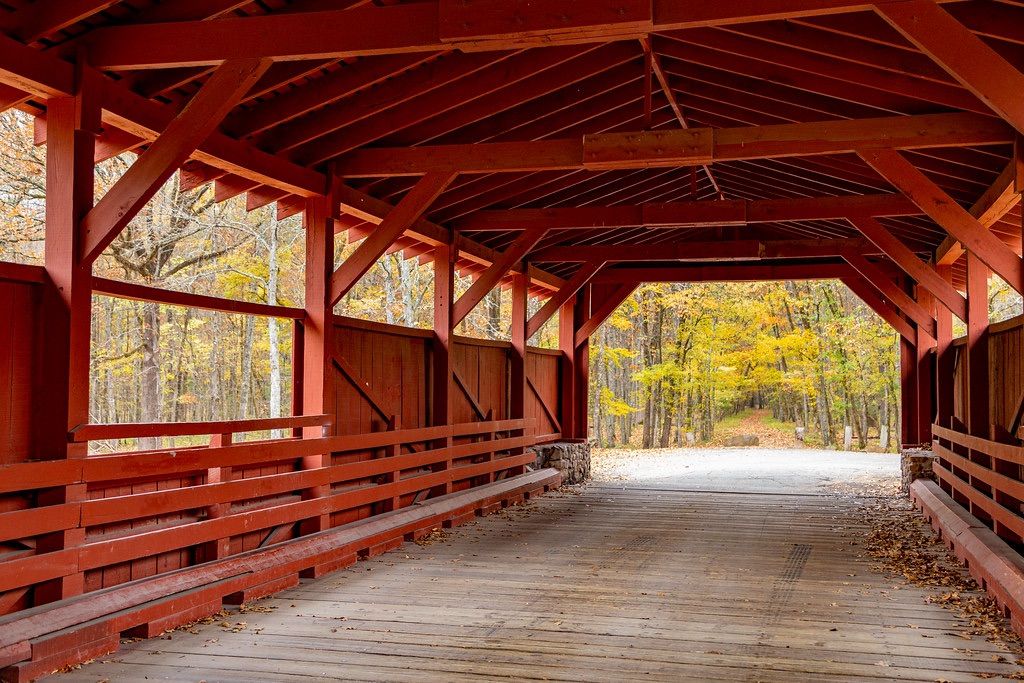 Burns Park Covered Bridge Family Minis