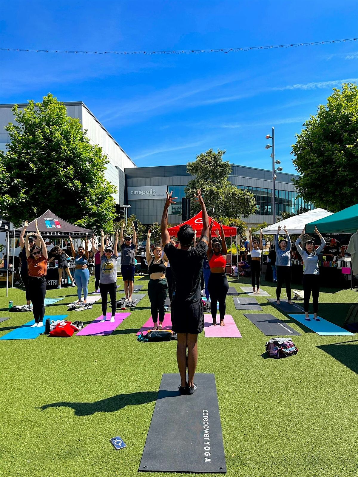 Bay Area Fitness Festival