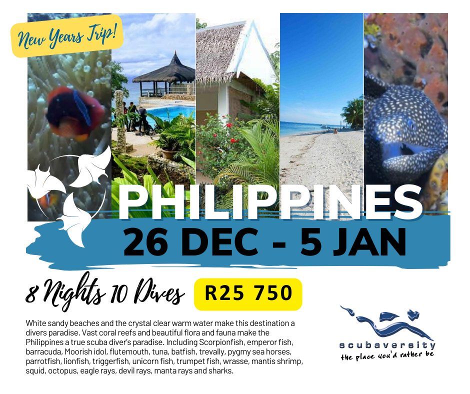 Philippines New Years Trip