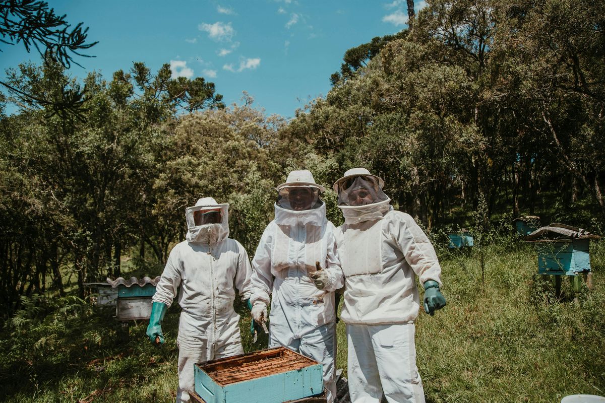 Backyard Beekeeping Basics