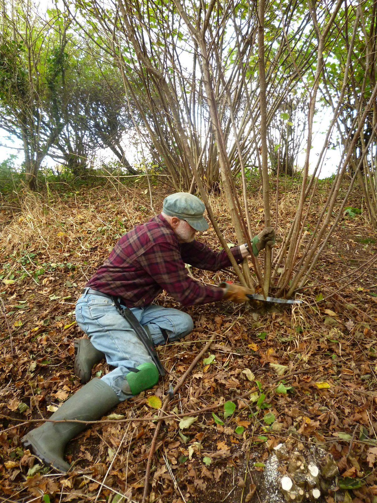 Coppicing weekend