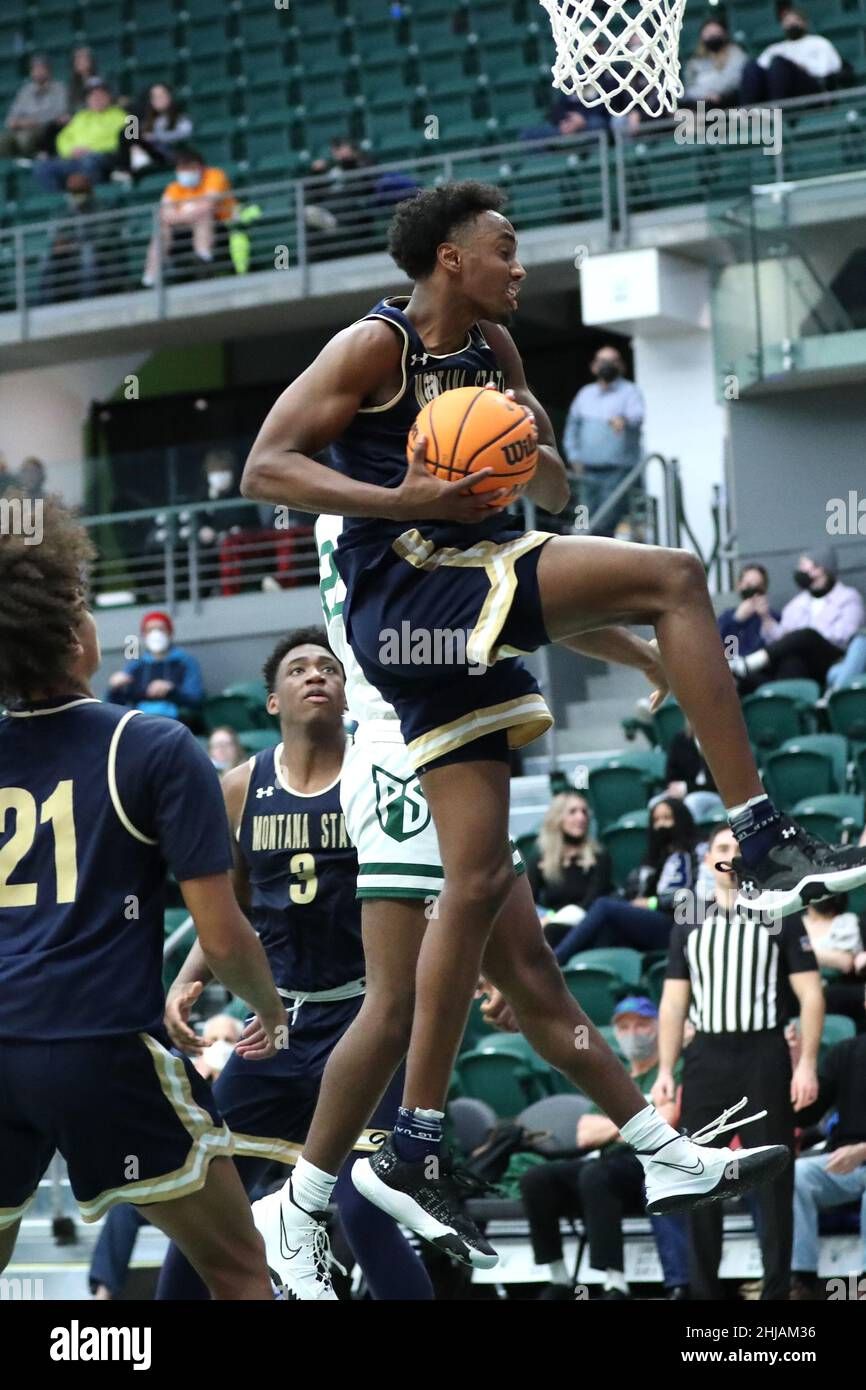 Montana State Bobcats at Portland State Vikings Mens Basketball