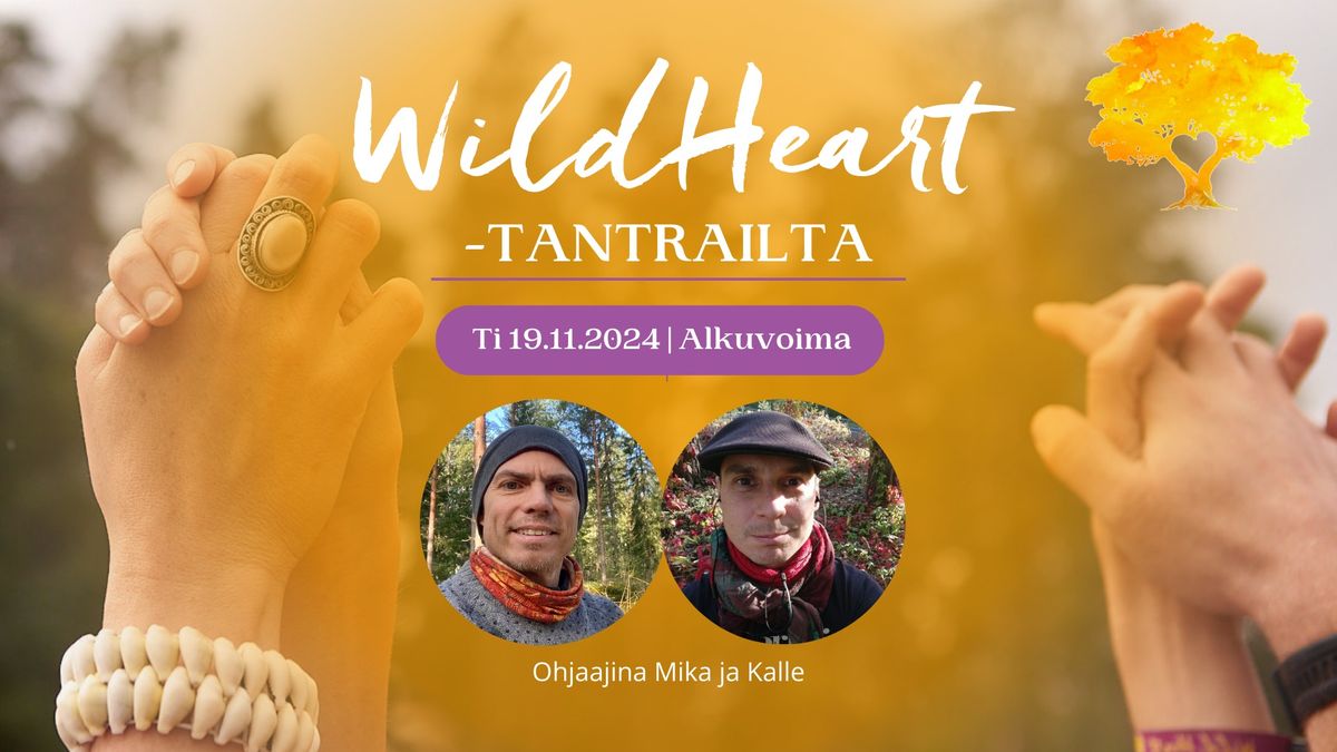 Wild Heart -tantrailta Turku