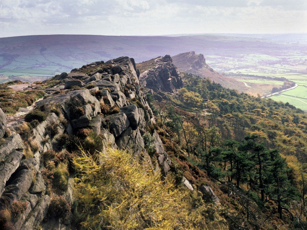 The Roaches, A Walk on the Wild Side - Ranger Guided Walk