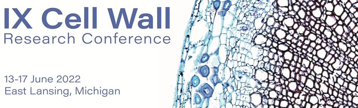 IX Cell Wall Research Conference 2022