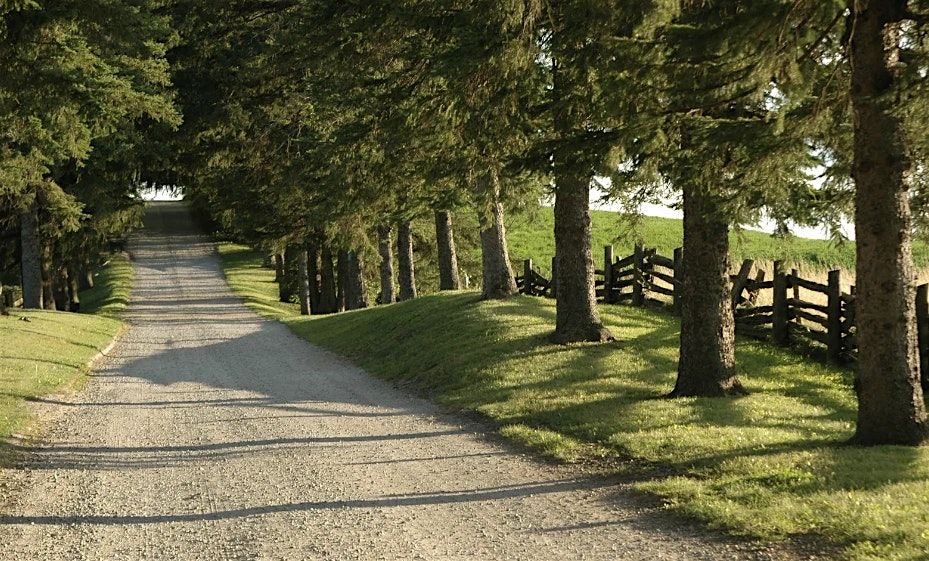 Morning Hike at Scotsdale Farm, Niagara Escarpment (Bus Ride Included)