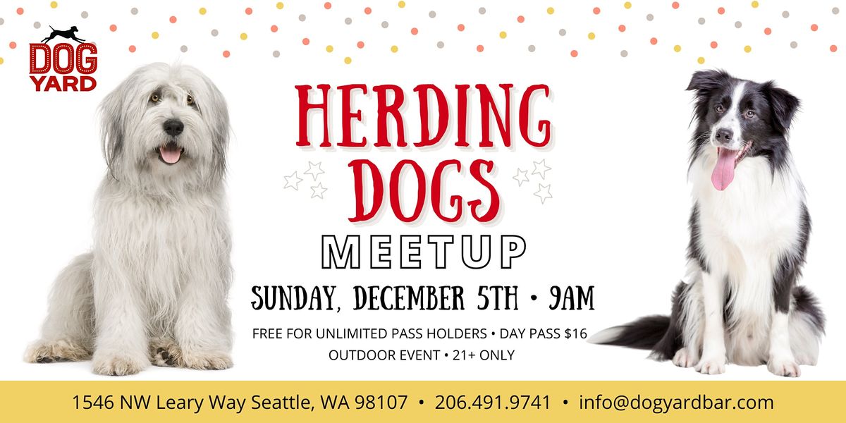 Herding Dog Meetup at the Dog Yard - Sunday,  Dec 5th