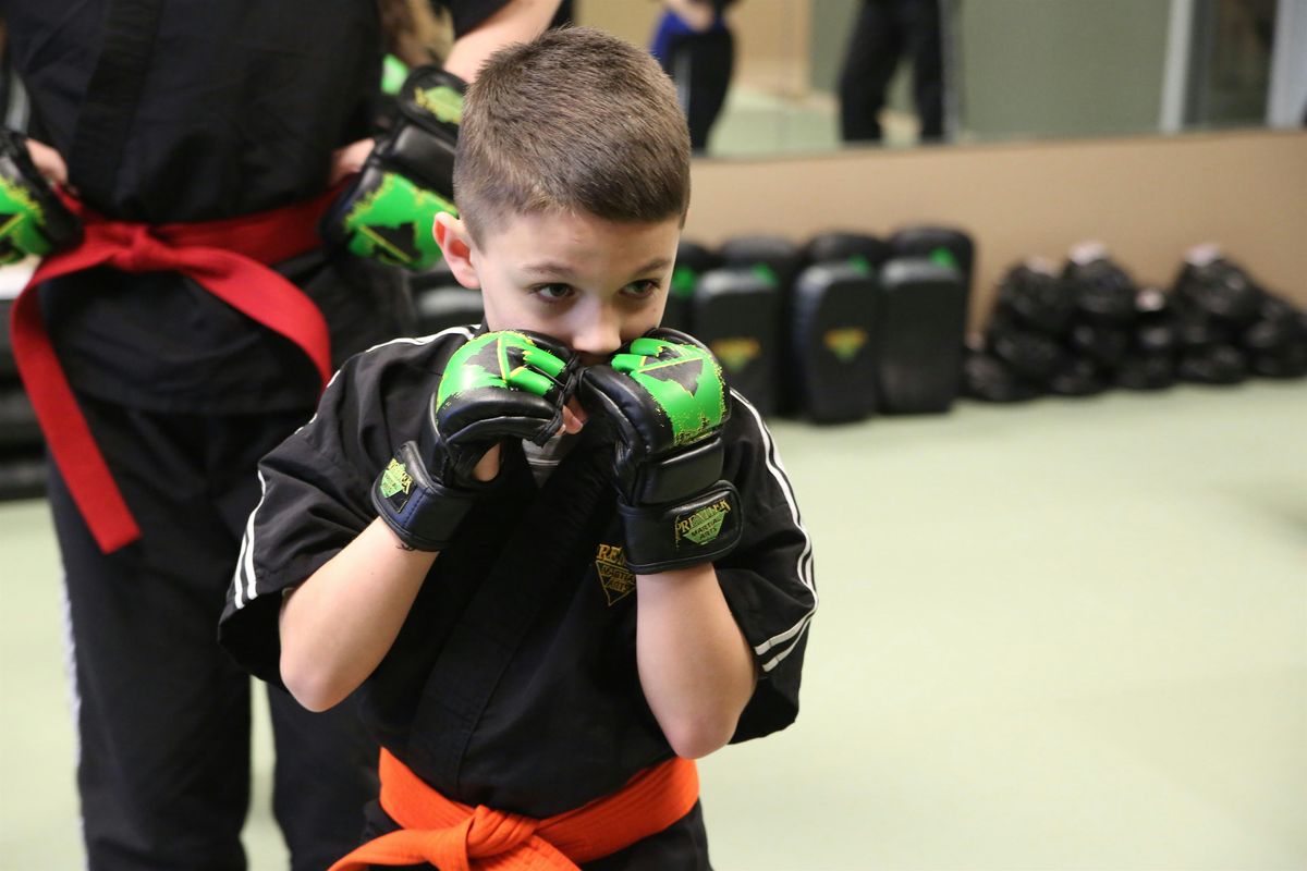 Free Kids Introductory Martial Arts Class