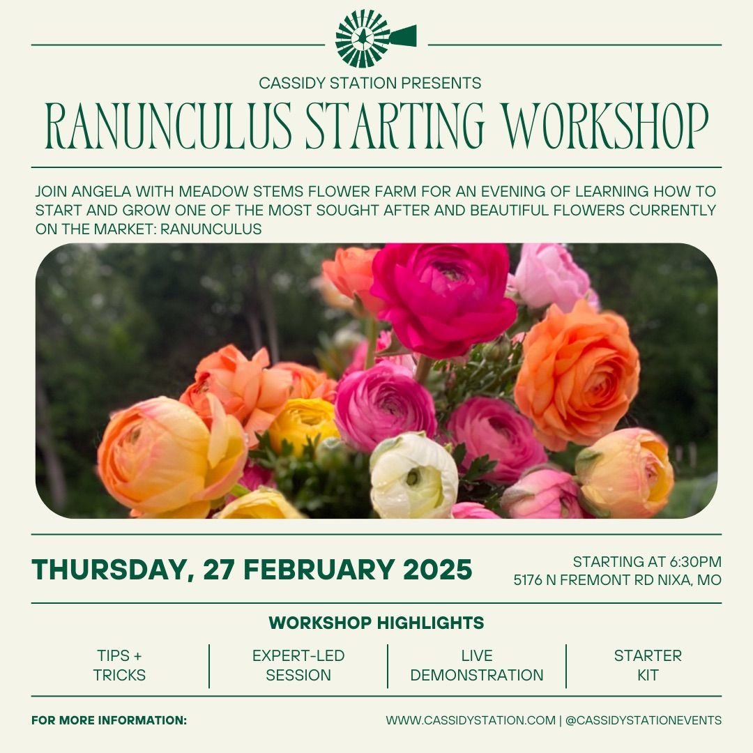 Ranunculus Starting Workshop