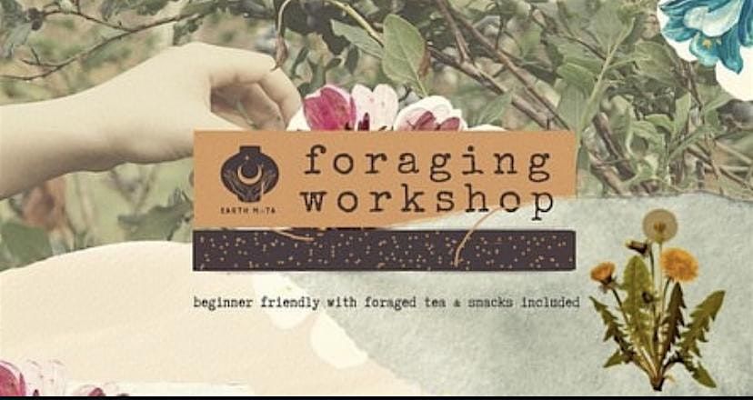 Beginners Foraging Workshops