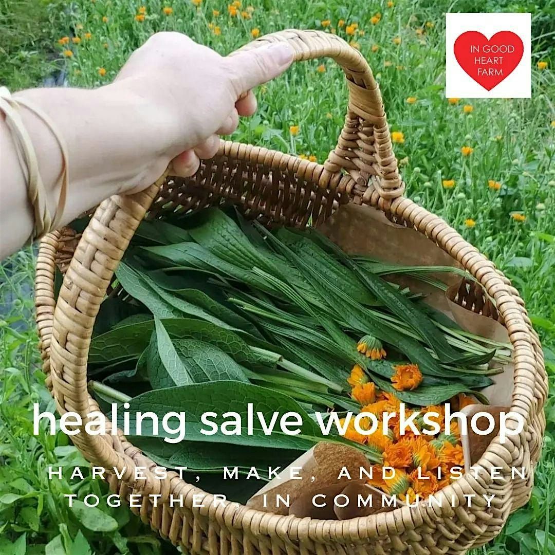Healing Salve Workshop