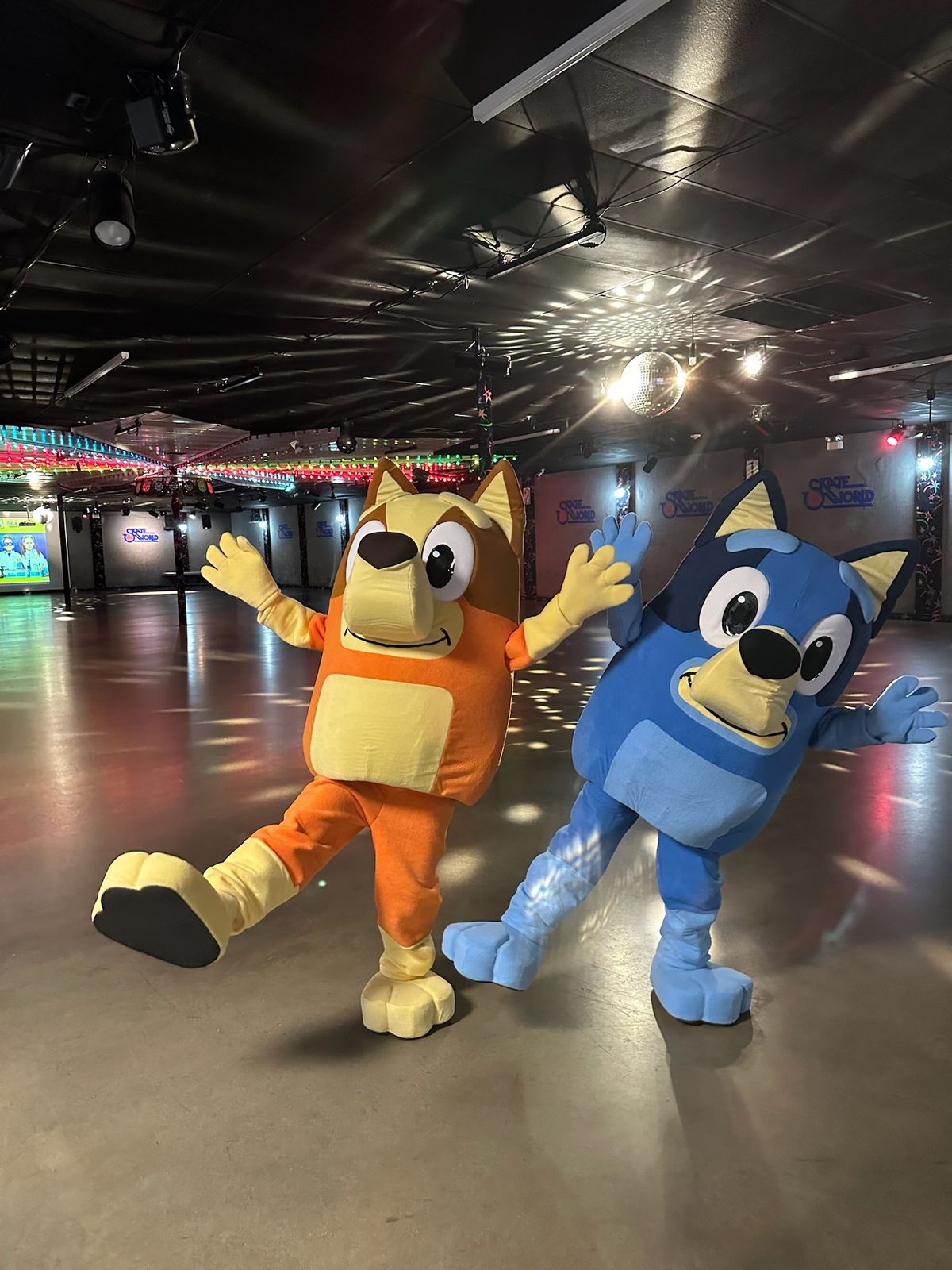 Bluey & Bingo are coming back to Skate World!