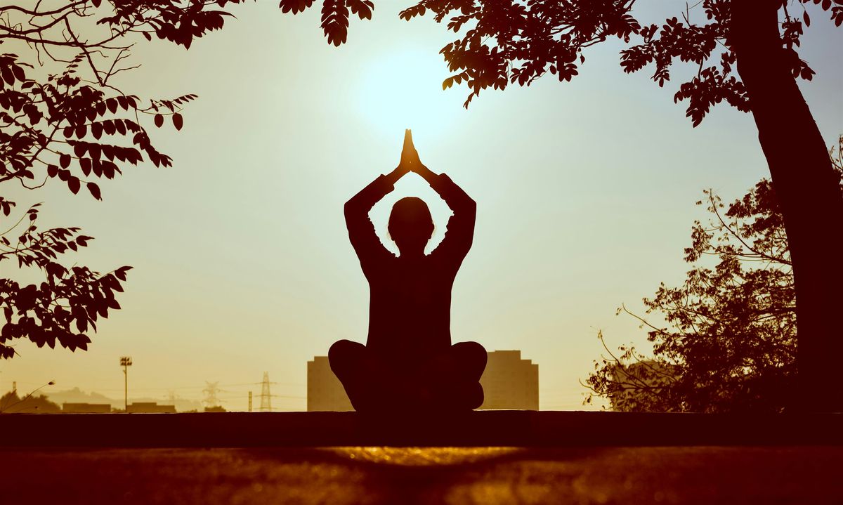 Mindful Movement: Hatha Yoga