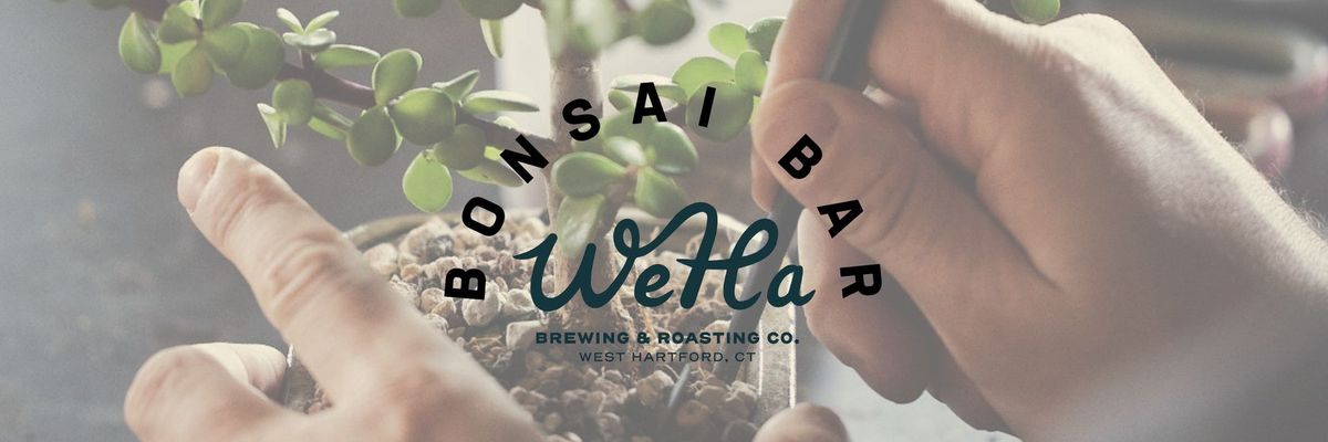 Bonsai Bar @ WeHa Brewing & Roasting Co.