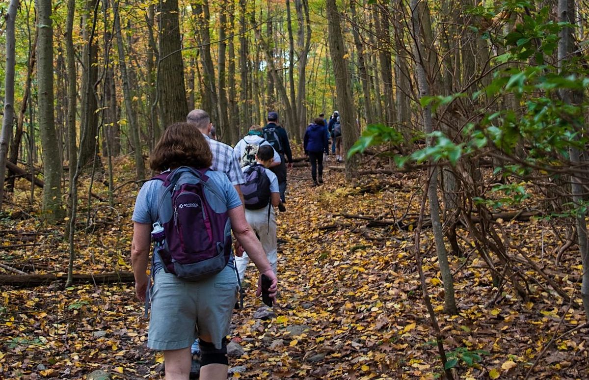 Walk in the Woods: Frederick Municipal Forest