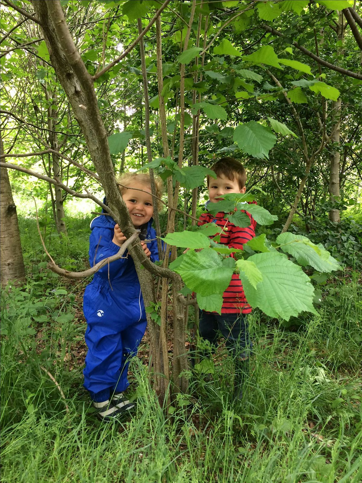 Woodpeckers Parent & Toddler Morning Group