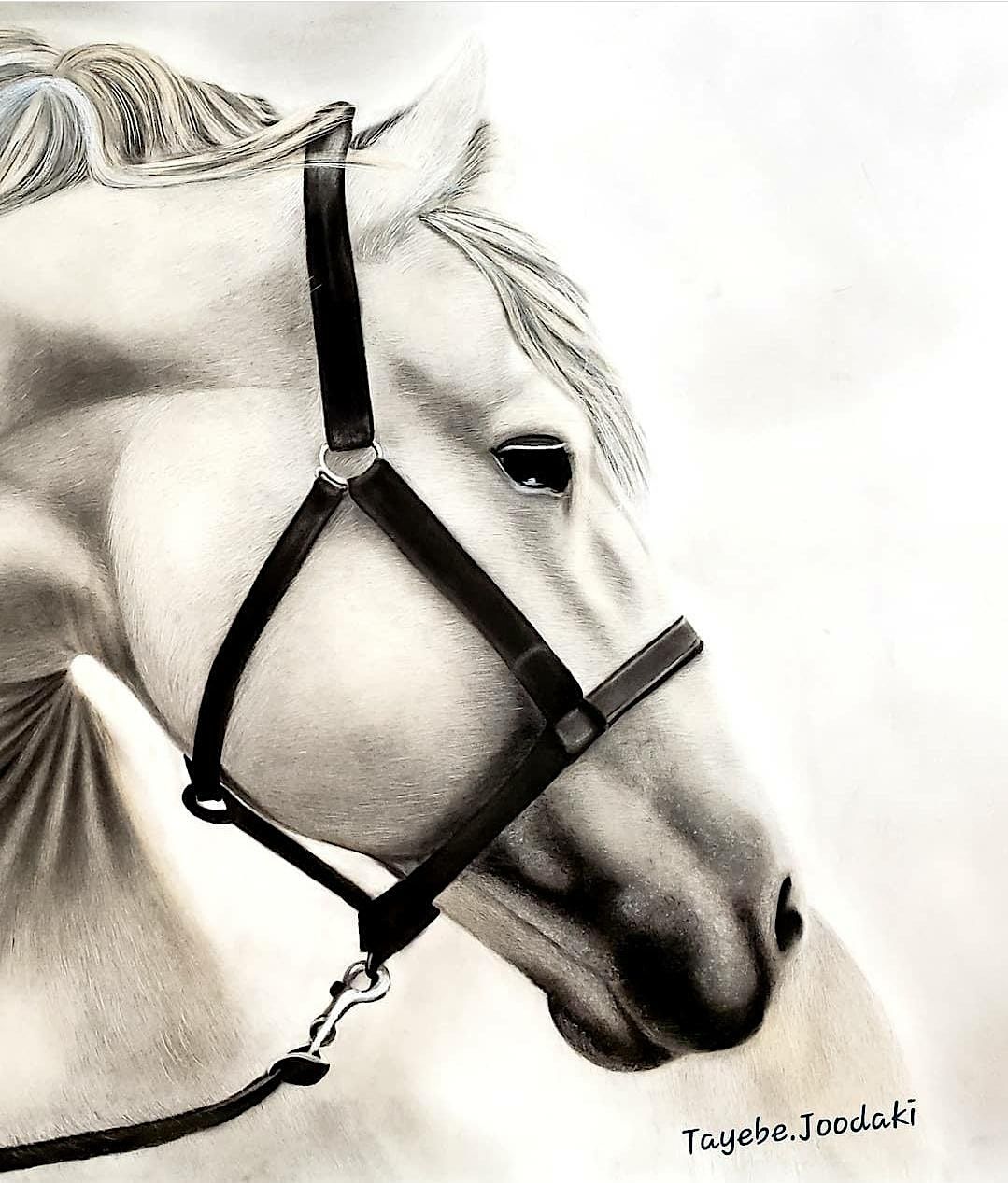 In depth Drawing Class, Paint ur Art Out gallery, Calgary, 11 October