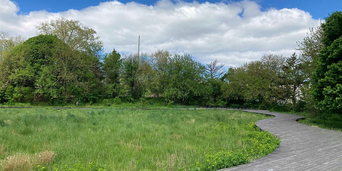 Meadow Grows in Brooklyn: The Naval Cemetery Landscape Jane's Walk