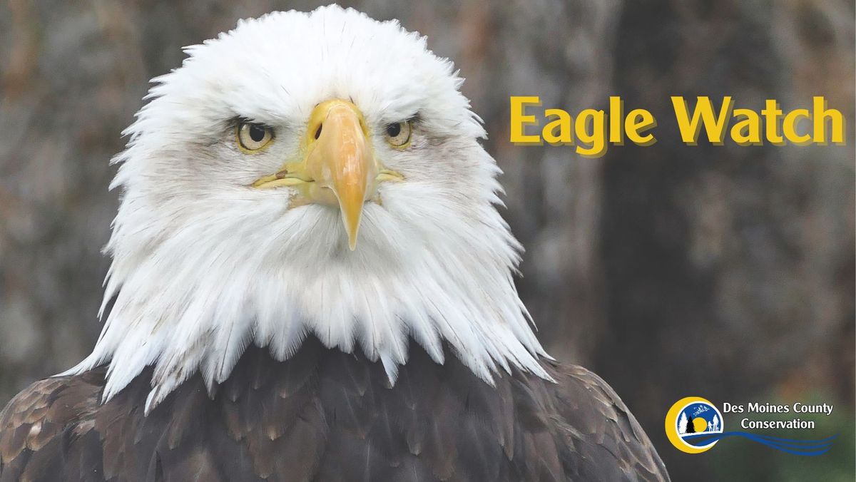 Eagle Watch 2025