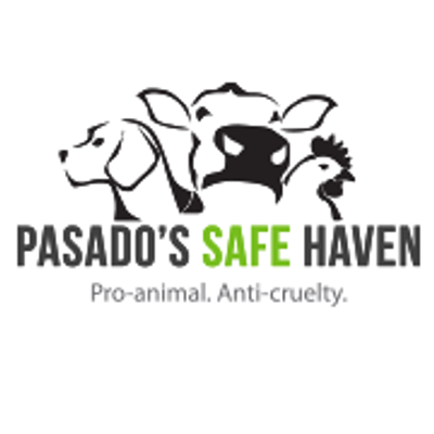 Pasado's Safe Haven