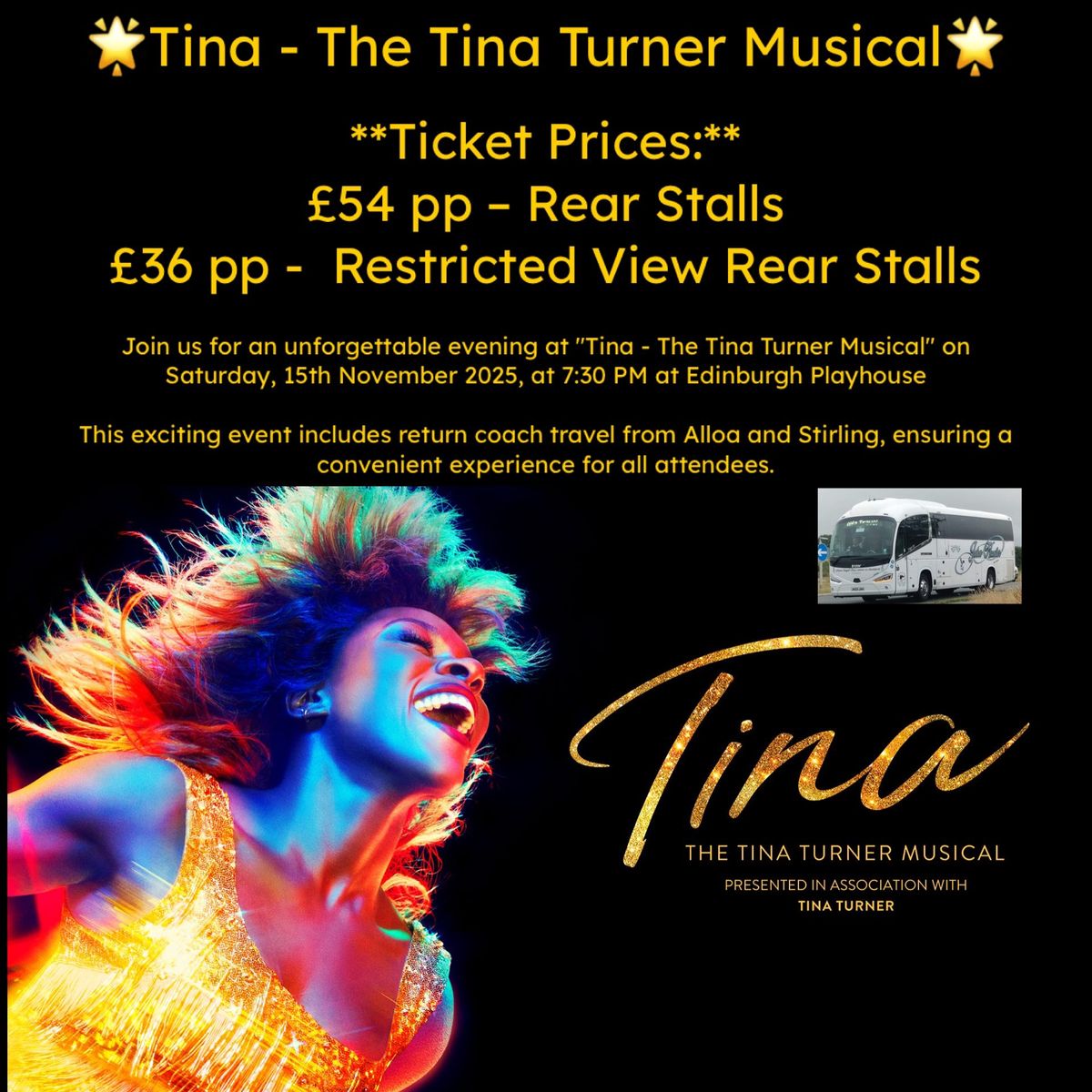 Tina - The Tina Turner Musical