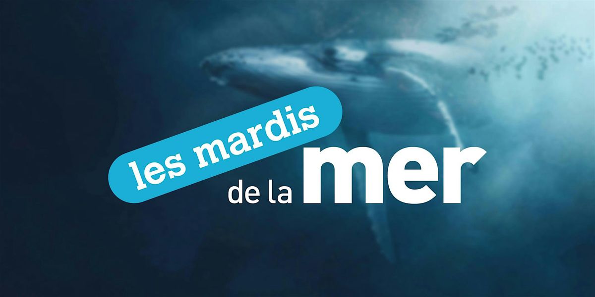 Les Mardis de la Mer \u00e9dition 2024\/2025