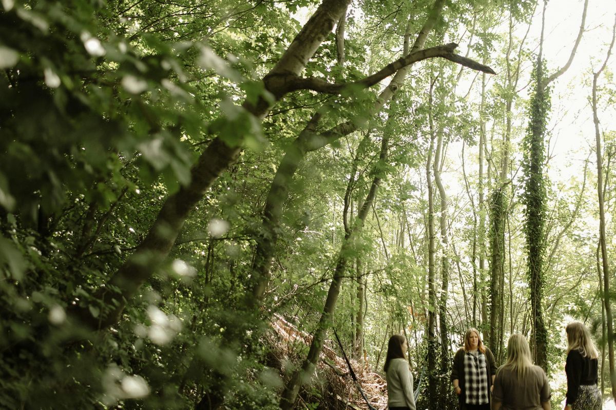 Forest Therapy Wellbeing Walk